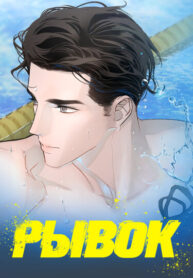 Cover 84633