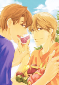 Cover 84650