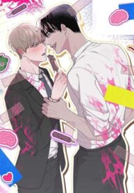 Cover 84702
