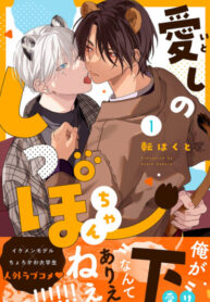 Cover 84704