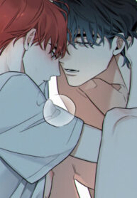 Cover 84722