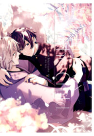 Cover 84726