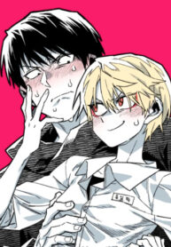 Cover 84748
