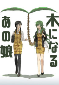 Cover 84772