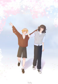 Cover 84803