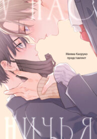 Cover 84805