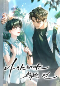 Cover 84807