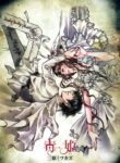Cover 84916