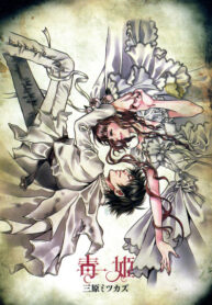 Cover 84916