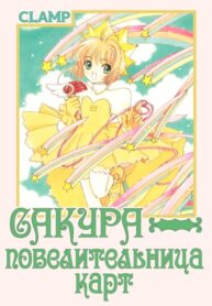 Cover 84926