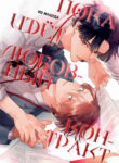 Cover 84960