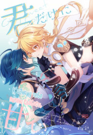Cover 84990