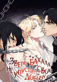 Cover 84998