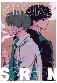 Cover 85006