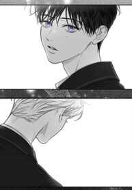 Cover 85026