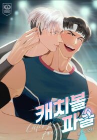 Cover 85034