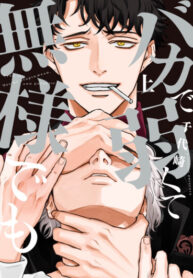 Cover 85036