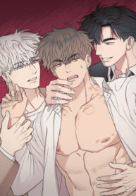 Cover 85038