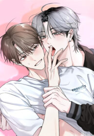 Cover 85044