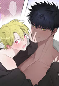 Cover 85048