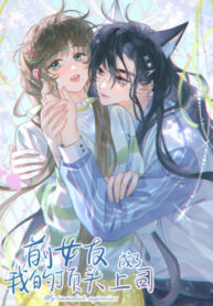 Cover 85056