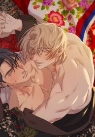 Cover 85068