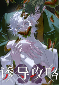 Cover 85070