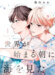 Cover 85072