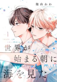 Cover 85072