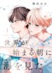 Cover 85072