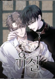 Cover 85076