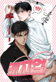 Cover 85084