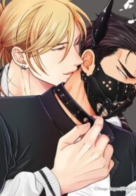 Cover 85088