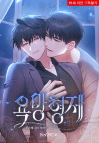 Cover 85090