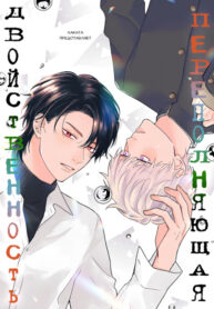 Cover 85111