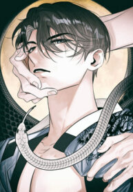 Cover 85115