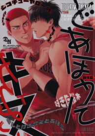 Cover 85117