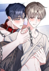 Cover 85125