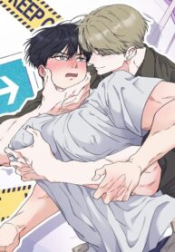 Cover 85133