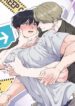 Cover 85133