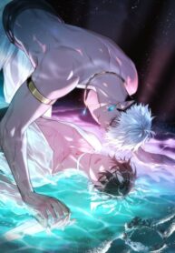 Cover 85135