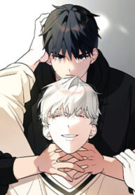 Cover 85143