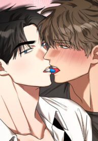 Cover 85157