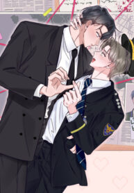 Cover 85167