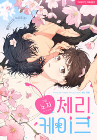 Cover 85175