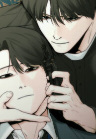Cover 85179