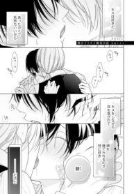 Cover 85181