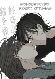 Cover 85183