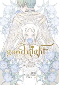 Cover 85205