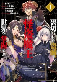 Cover 85215